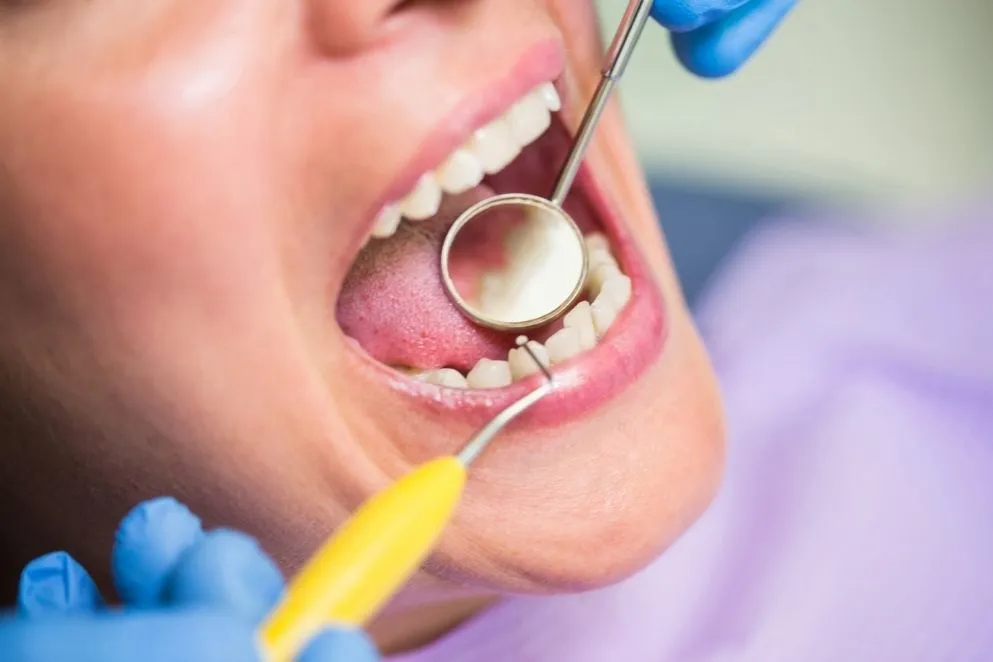 Endodonti Uzmanı