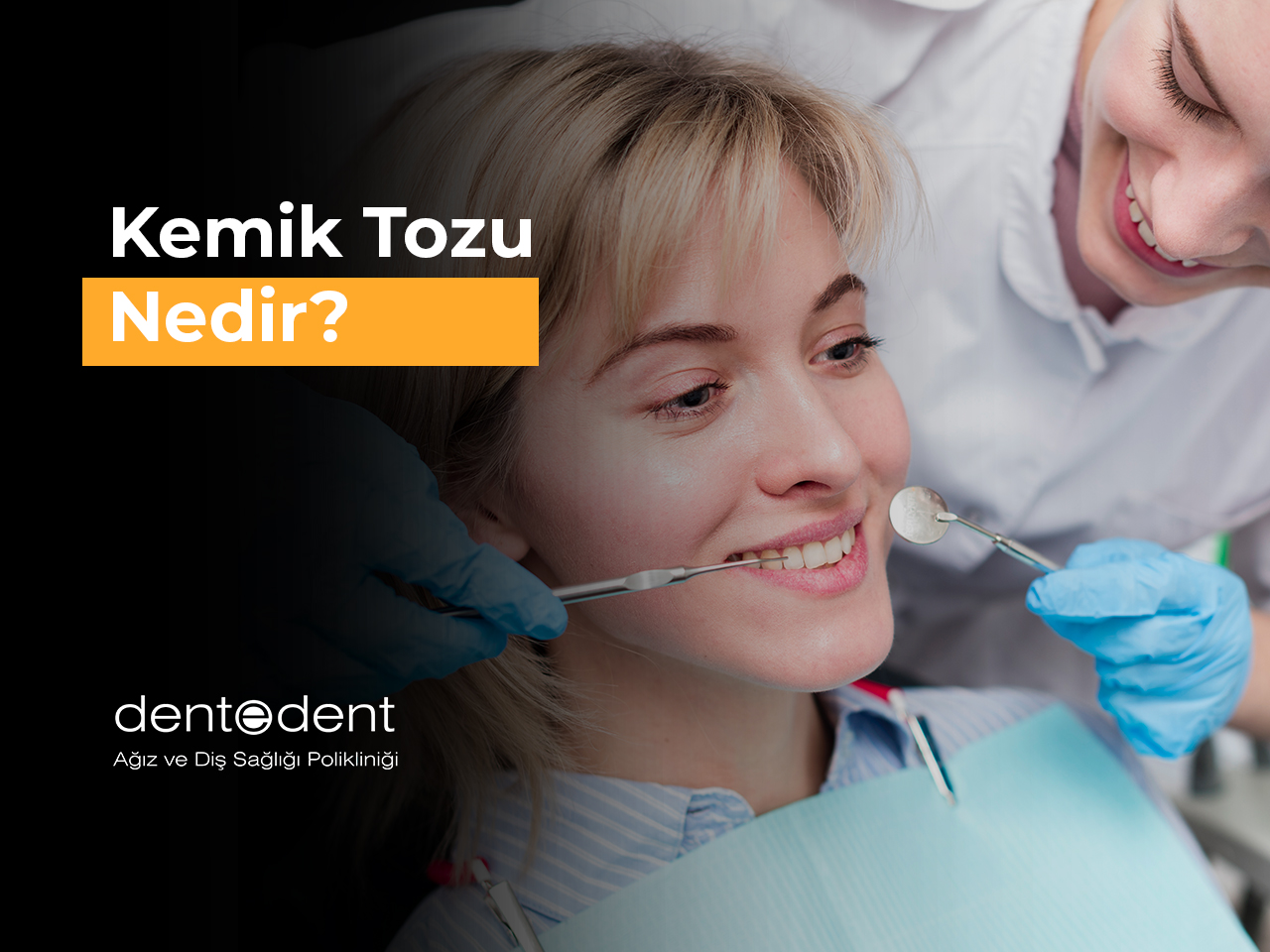 Kemik Tozu Nedir?